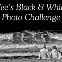Cee’s Black & White Photo Challenge: Any Kind of Bricks or Stone Walls, Walks or Roads